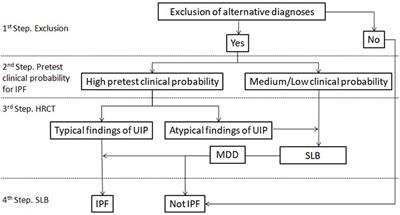 Diagnosis of Idiopathic Pulmonary Fibrosis “Pragmatic Challenges in Clinical Practice”